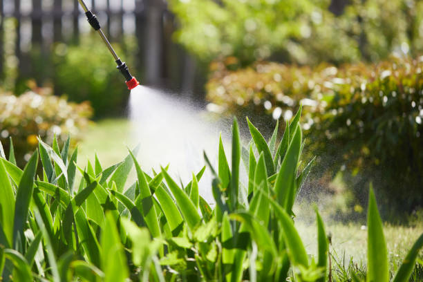 24/7 Emergency Ant Control experts in Warren, OH