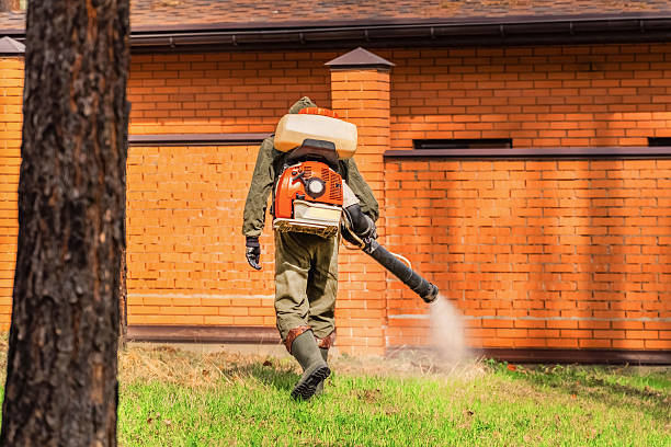 Top rated local Ant Control specialists in Warren, OH